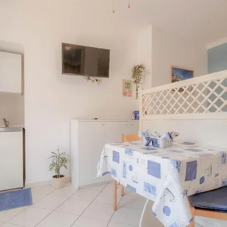 Alma One * Novigrad Istria